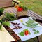 Eco Printing & Flower Pounding Kit – Natural DIY Art Set for Creating Handbags, Clothing, Home Décor, and Fabric Crafts. A Fun and Creative Activity for Parents and Children to Enjoy Together.